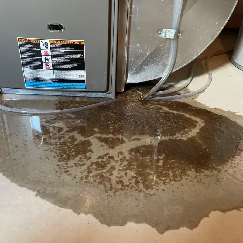 Appliance Leak Cleanup in Fremont, IN